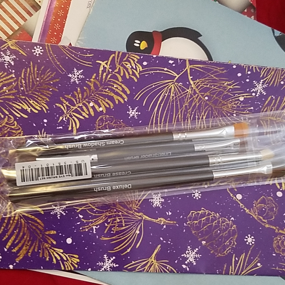 Eye brush set